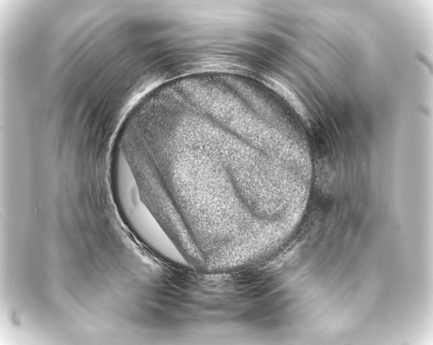 X0000093161043200710241016