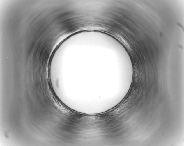 X0000093161044200710241016