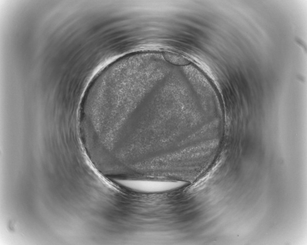 X0000093161045200710241016