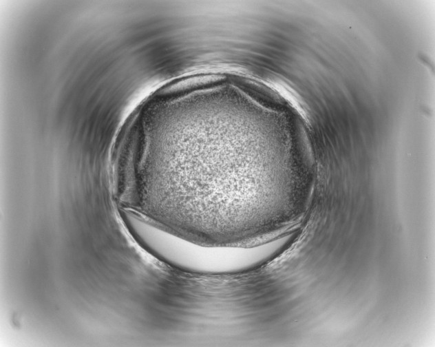 X0000093161046200710241016