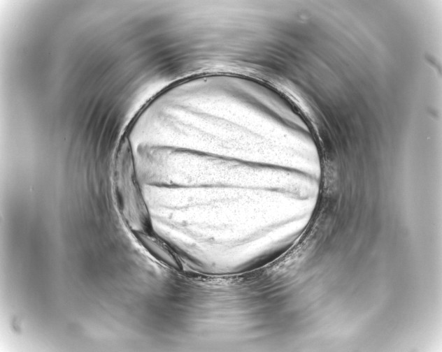X0000093161048200710241016