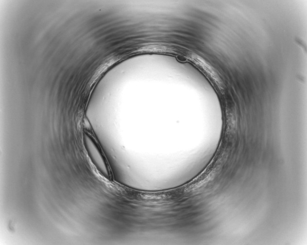 X0000093161049200710241016