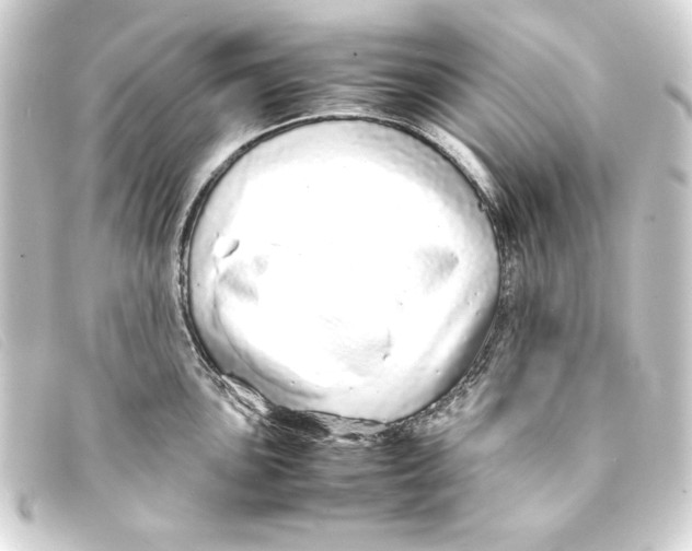 X0000093161051200710241016