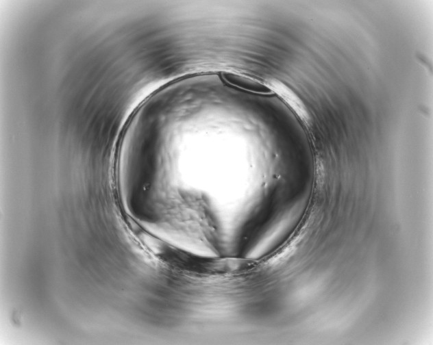 X0000093161052200710241016