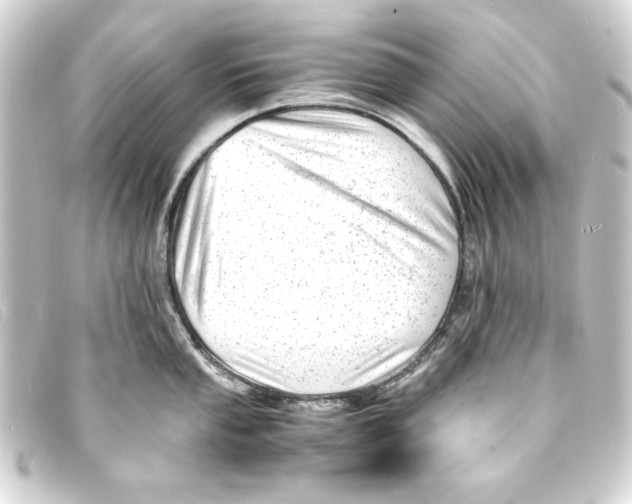 X0000093161053200710241016