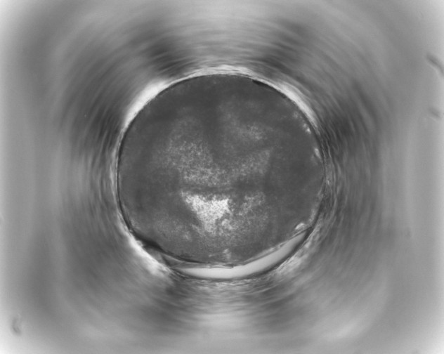 X0000093161054200710241016