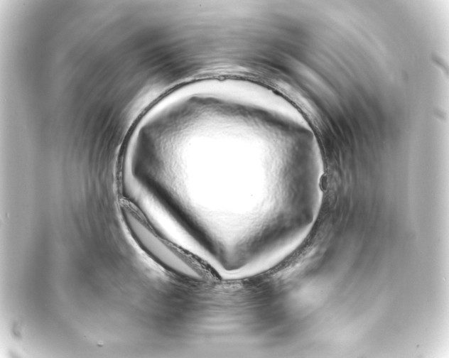 X0000093161055200710241016