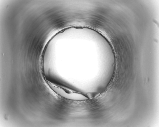 X0000093161056200710241016