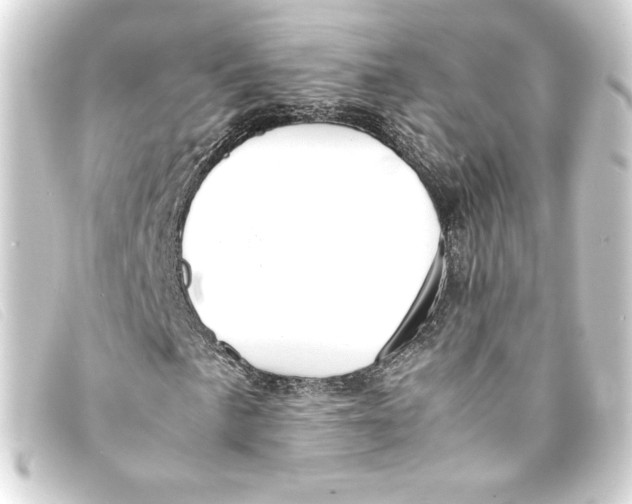 X0000093161057200710241016
