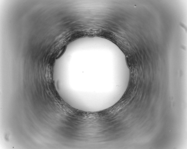 X0000093161058200710241016