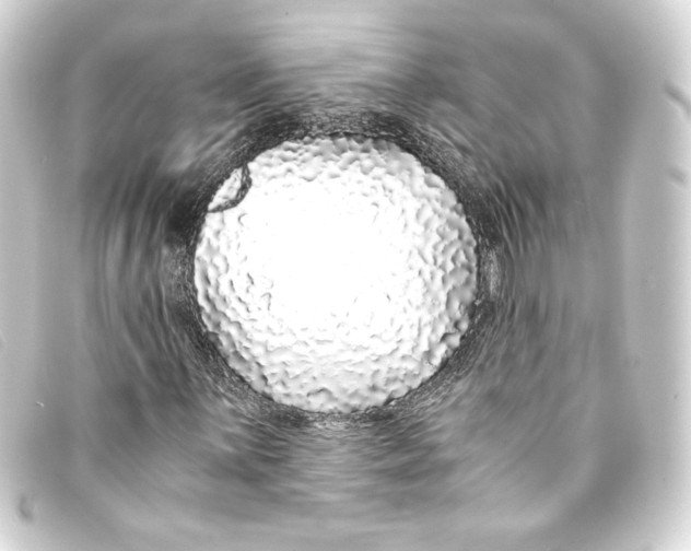 X0000093161059200710241016