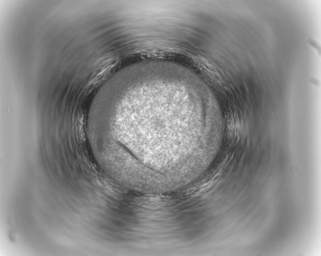 X0000093161060200710241016