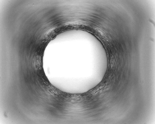 X0000093161062200710241015