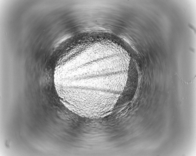 X0000093161063200710241015