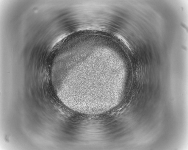 X0000093161064200710241015