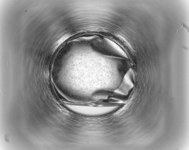 X0000093161065200710241015