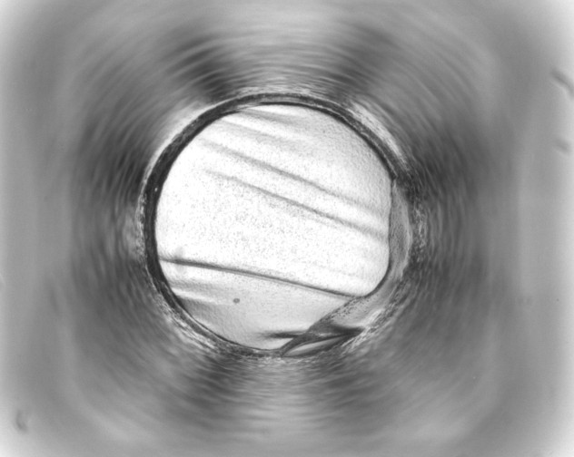 X0000093161068200710241015