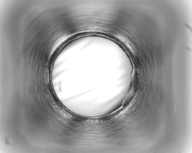 X0000093161069200710241015