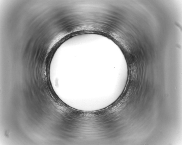 X0000093161070200710241015