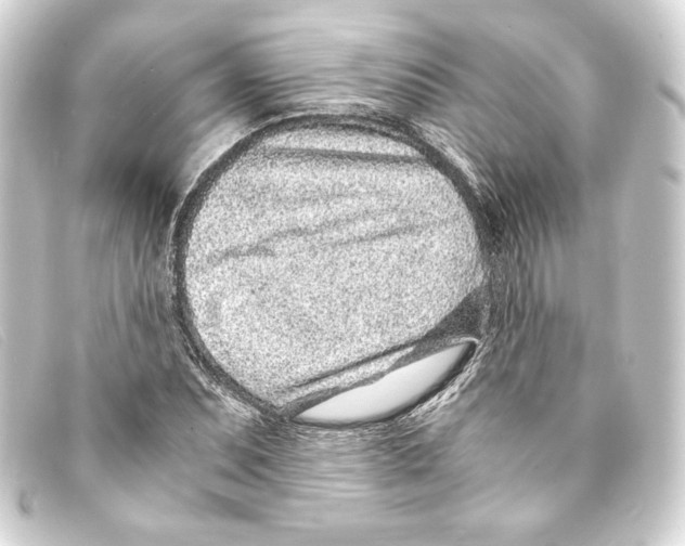 X0000093161071200710241015