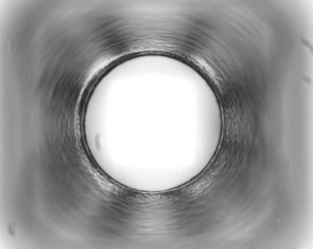 X0000093161072200710241015