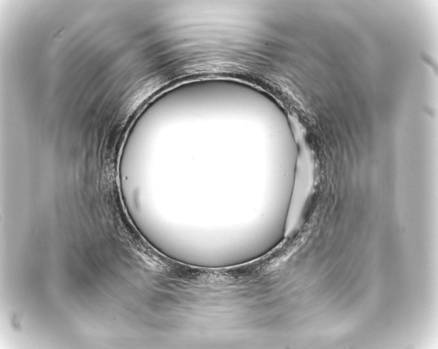 X0000093161073200710241015