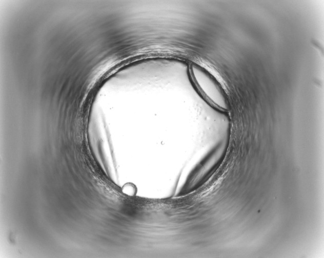X0000093161075200710241015