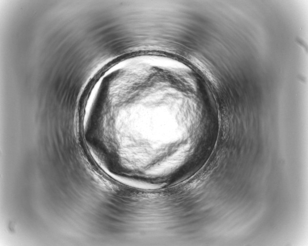 X0000093161076200710241015