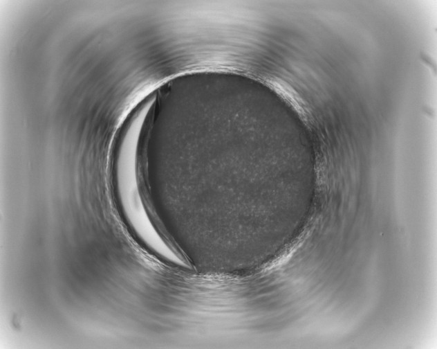 X0000093161077200710241015