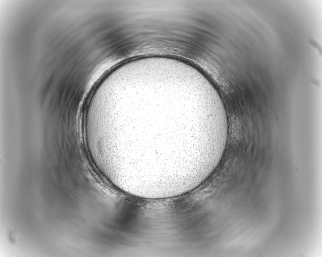 X0000093161078200710241015