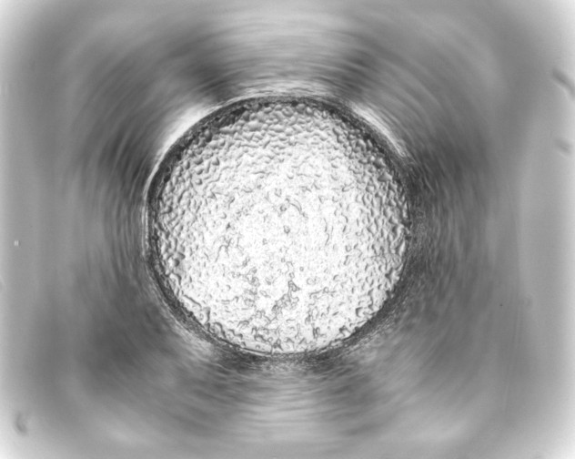 X0000093161079200710241015