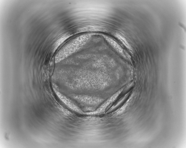 X0000093161081200710241015