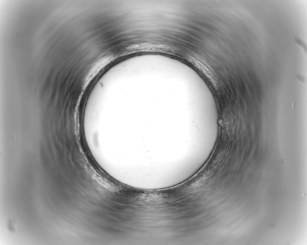 X0000093161082200710241015