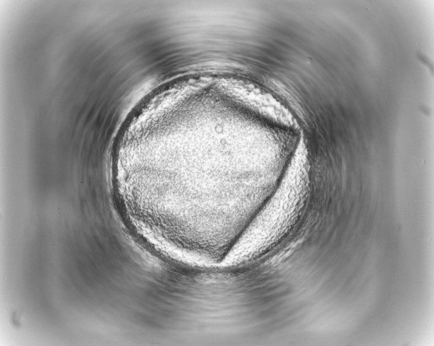 X0000093161083200710241015