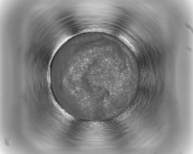 X0000093161084200710241015