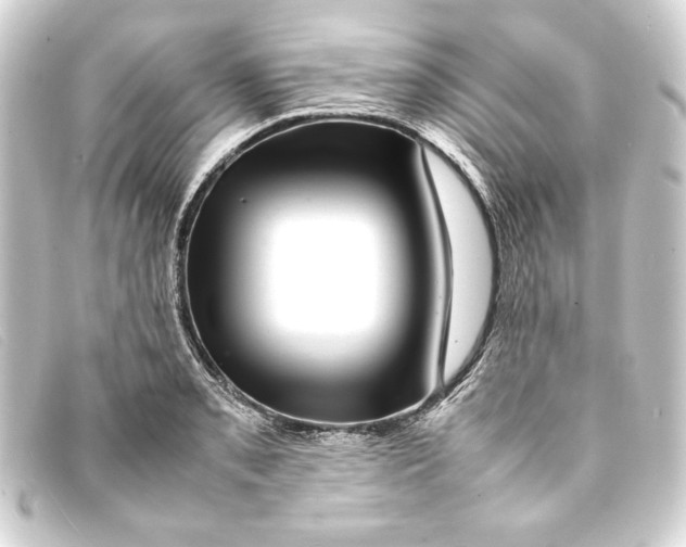 X0000093161085200710241015