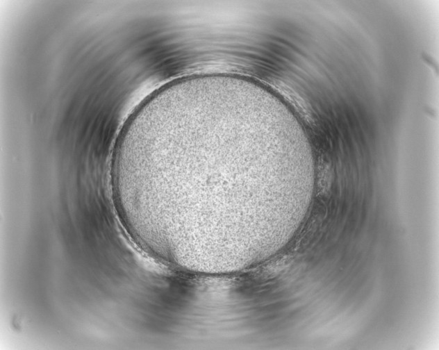 X0000093161086200710241015