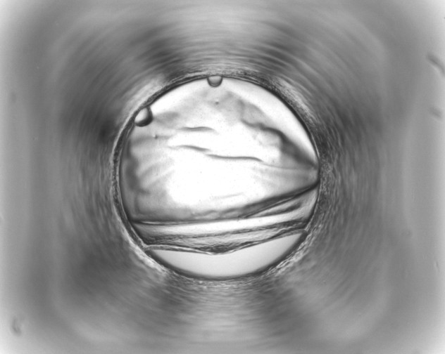 X0000093161087200710241015