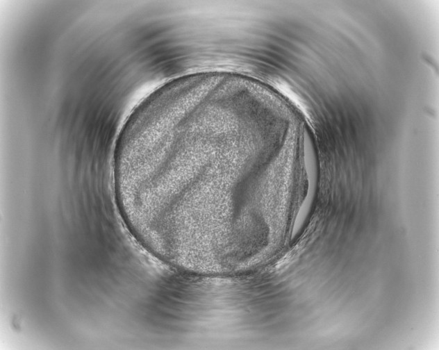 X0000093161088200710241015