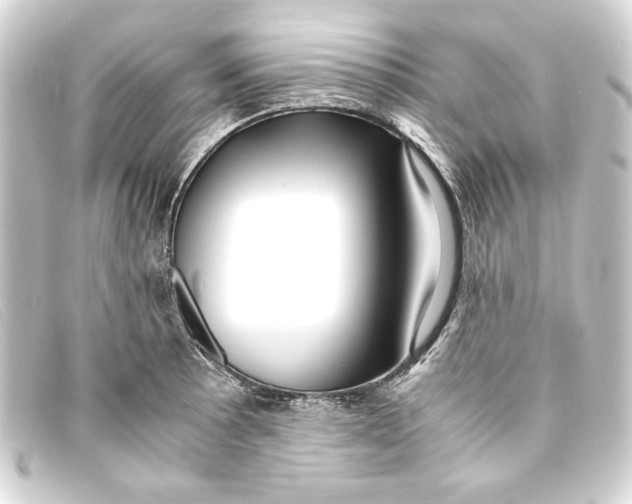 X0000093161089200710241015