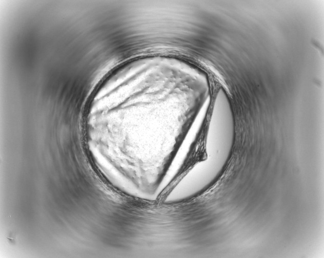 X0000093161091200710241015