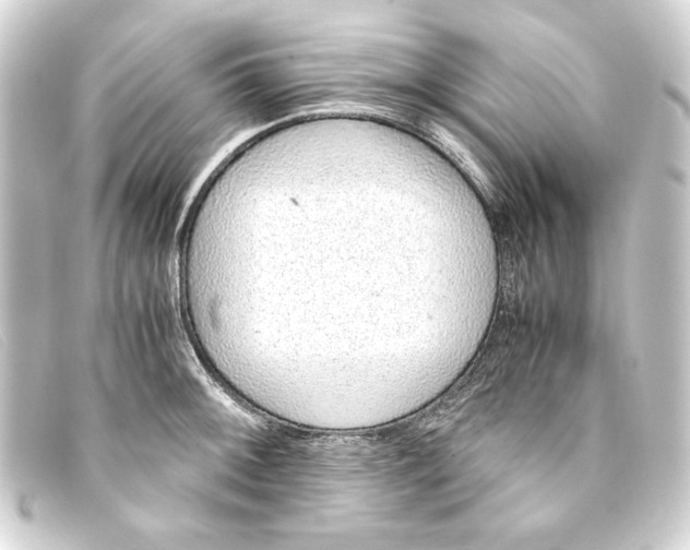 X0000093161092200710241015
