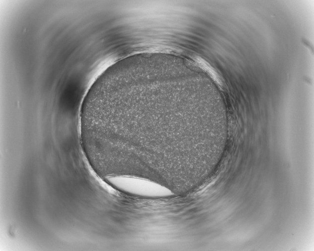 X0000093161095200710241015