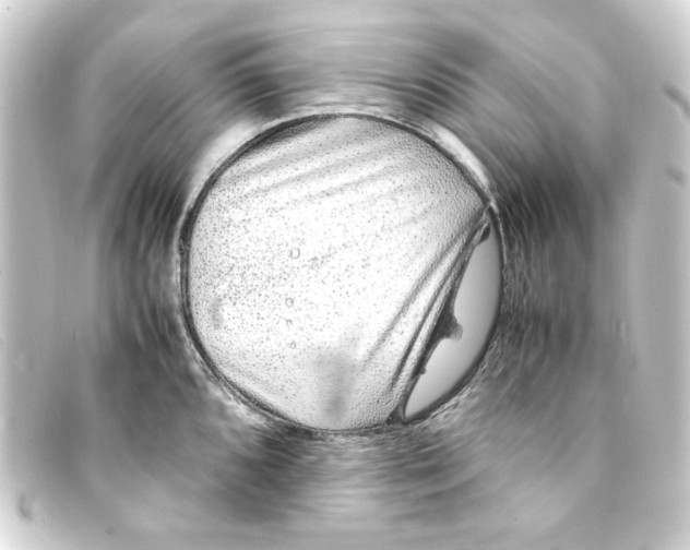 X0000093161096200710241015
