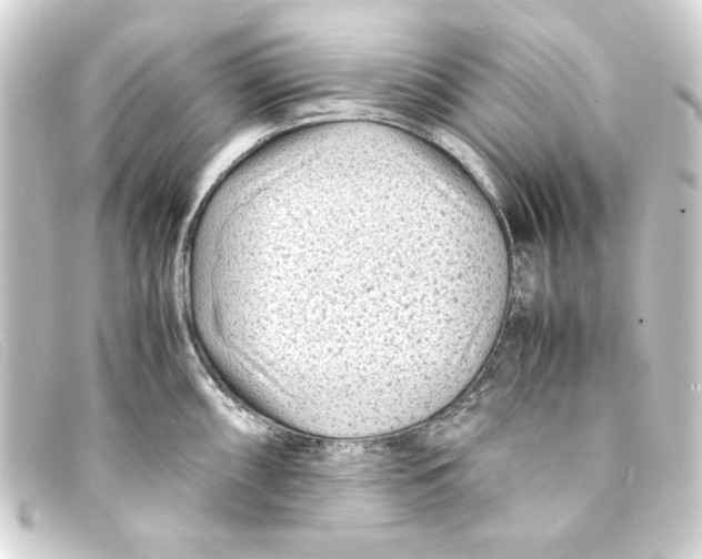 X0000093161098200710241015