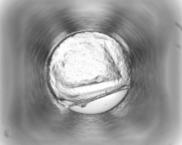 X0000093161099200710241015