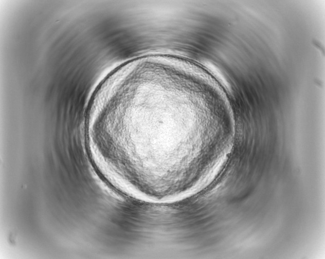 X0000093161100200710241015