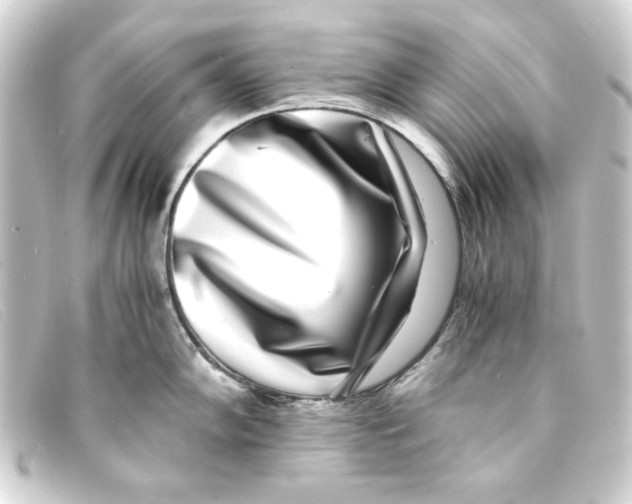 X0000093161102200710241015