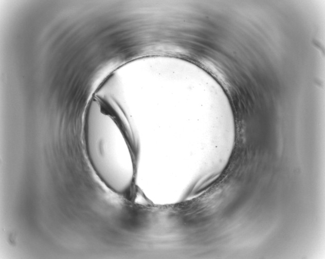 X0000093161103200710241015