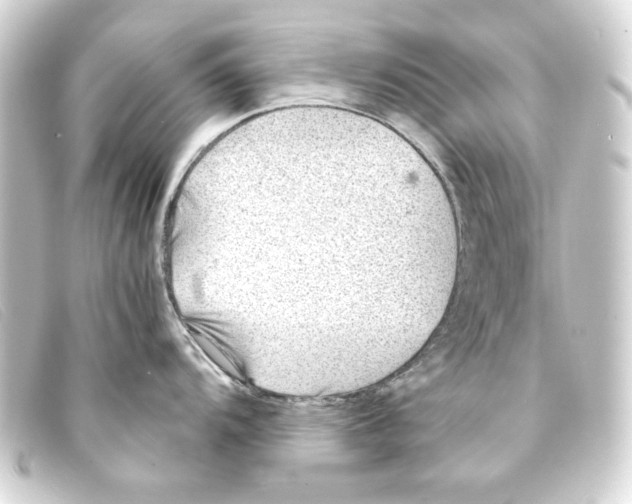 X0000093161104200710241015